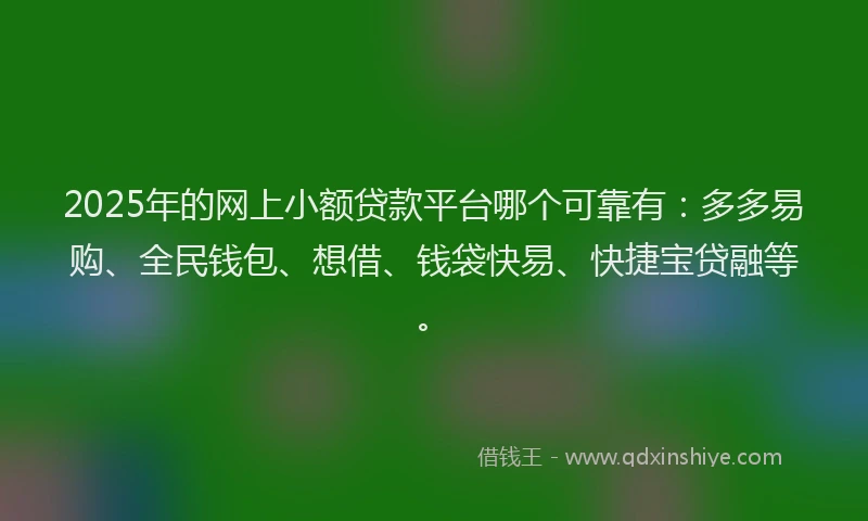 2025年的网上小额贷款平台哪个可靠有：多多易购、全民钱包、想借、钱袋快易、快捷宝贷融等。
