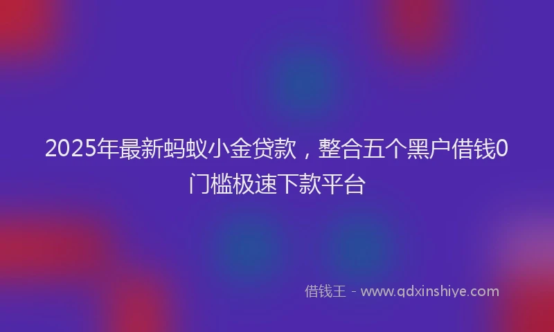 2025年最新蚂蚁小金贷款，整合五个黑户借钱0门槛极速下款平台
