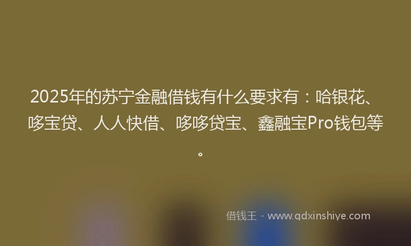 2025年的苏宁金融借钱有什么要求有：哈银花、哆宝贷、人人快借、哆哆贷宝、鑫融宝Pro钱包等。