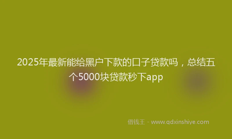 2025年最新能给黑户下款的口子贷款吗，总结五个5000块贷款秒下app