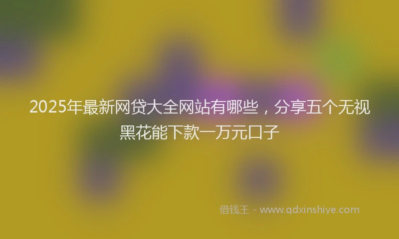 2025年最新网贷大全网站有哪些，分享五个无视黑花能下款一万元口子