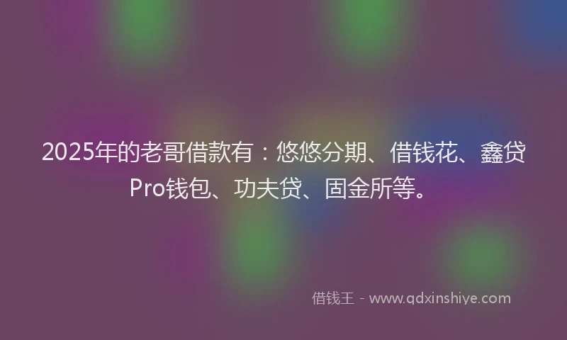 2025年的老哥借款有：悠悠分期、借钱花、鑫贷Pro钱包、功夫贷、固金所等。