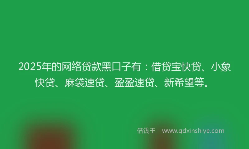 2025年的网络贷款黑口子有：借贷宝快贷、小象快贷、麻袋速贷、盈盈速贷、新希望等。