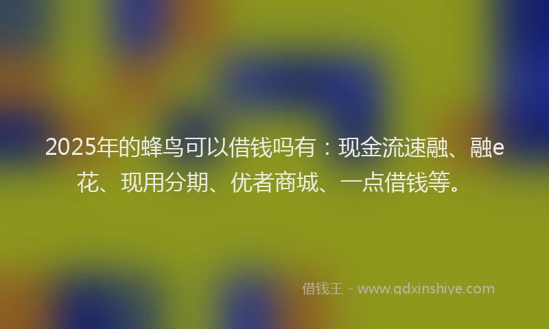 2025年的蜂鸟可以借钱吗有：现金流速融、融e花、现用分期、优者商城、一点借钱等。