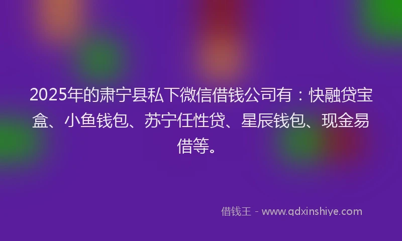 2025年的肃宁县私下微信借钱公司有：快融贷宝盒、小鱼钱包、苏宁任性贷、星辰钱包、现金易借等。