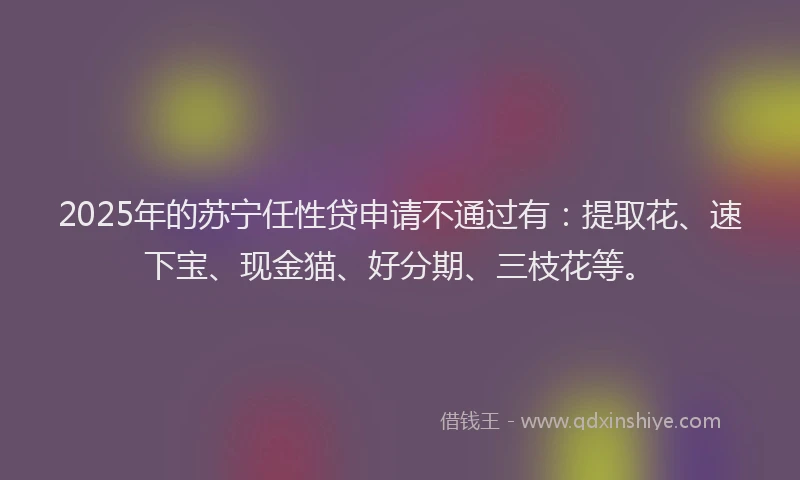 2025年的苏宁任性贷申请不通过有：提取花、速下宝、现金猫、好分期、三枝花等。