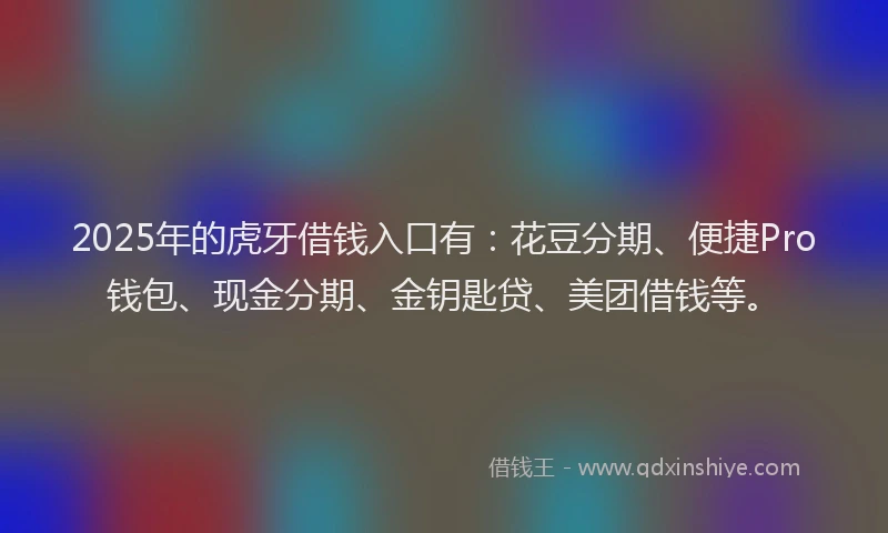 2025年的虎牙借钱入口有：花豆分期、便捷Pro钱包、现金分期、金钥匙贷、美团借钱等。