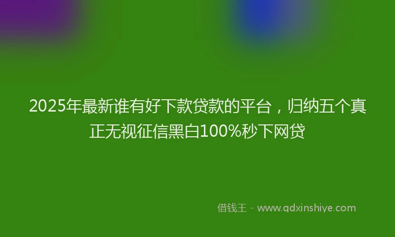 2025年最新谁有好下款贷款的平台，归纳五个真正无视征信黑白100%秒下网贷