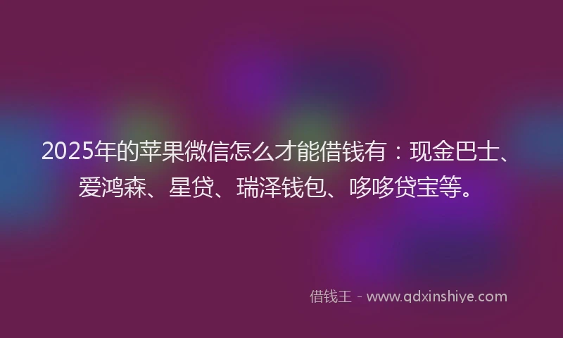 2025年的苹果微信怎么才能借钱有：现金巴士、爱鸿森、星贷、瑞泽钱包、哆哆贷宝等。