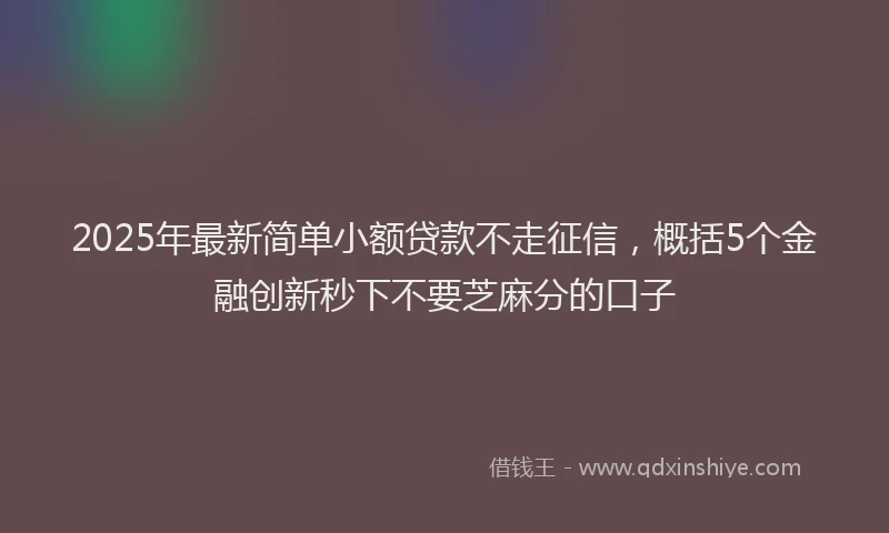 2025年最新简单小额贷款不走征信，概括5个金融创新秒下不要芝麻分的口子