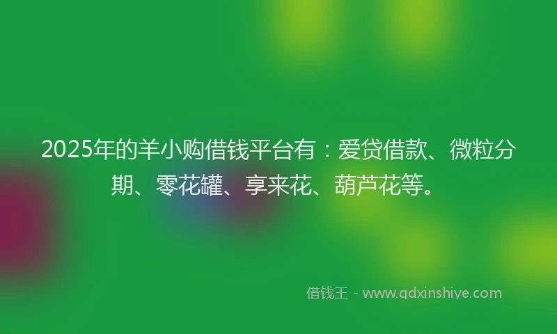 2025年的羊小购借钱平台有：爱贷借款、微粒分期、零花罐、享来花、葫芦花等。