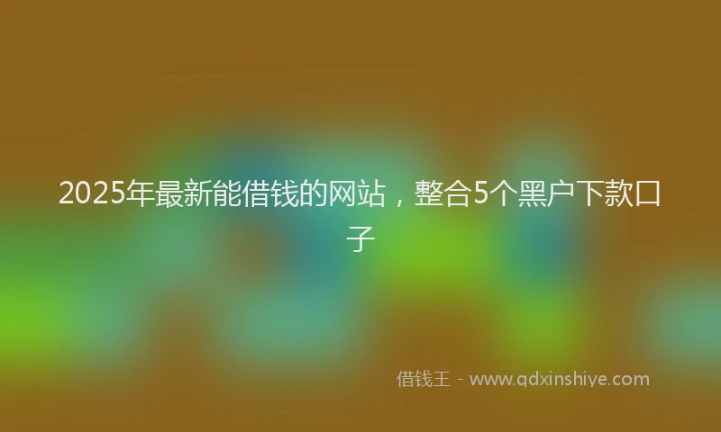 2025年最新能借钱的网站，整合5个黑户下款口子