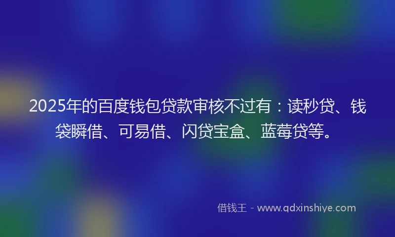 2025年的百度钱包贷款审核不过有：读秒贷、钱袋瞬借、可易借、闪贷宝盒、蓝莓贷等。