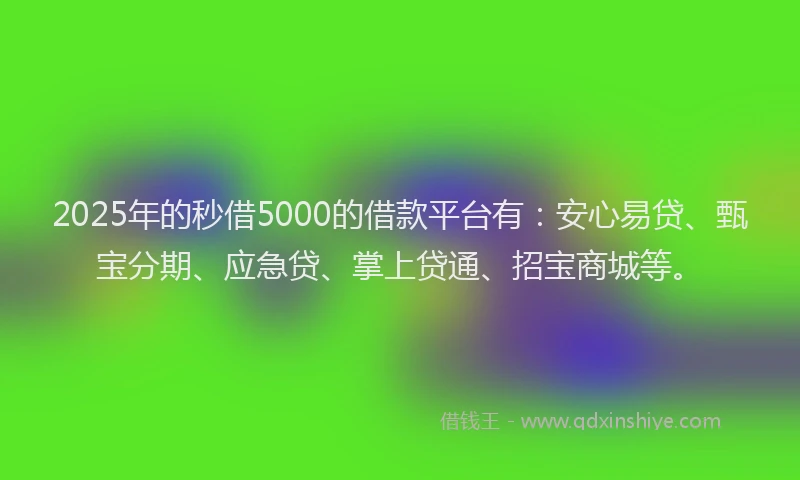 2025年的秒借5000的借款平台有：安心易贷、甄宝分期、应急贷、掌上贷通、招宝商城等。