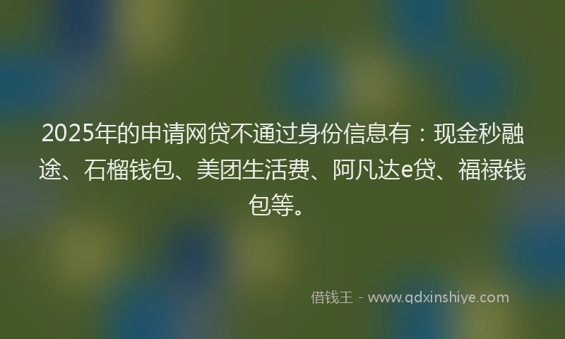 2025年的申请网贷不通过身份信息有：现金秒融途、石榴钱包、美团生活费、阿凡达e贷、福禄钱包等。