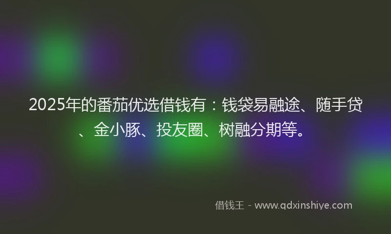 2025年的番茄优选借钱有：钱袋易融途、随手贷、金小豚、投友圈、树融分期等。