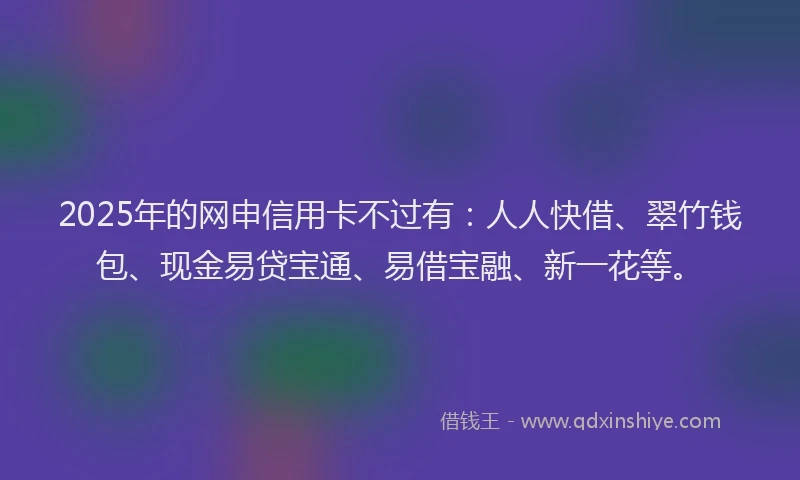 2025年的网申信用卡不过有：人人快借、翠竹钱包、现金易贷宝通、易借宝融、新一花等。