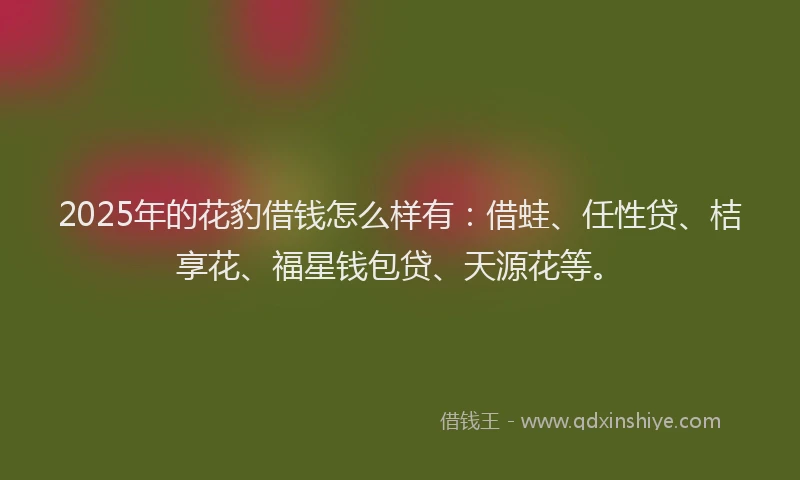 2025年的花豹借钱怎么样有：借蛙、任性贷、桔享花、福星钱包贷、天源花等。