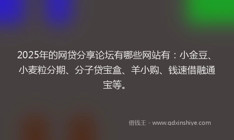 2025年的网贷分享论坛有哪些网站有：小金豆、小麦粒分期、分子贷宝盒、羊小购、钱速借融通宝等。