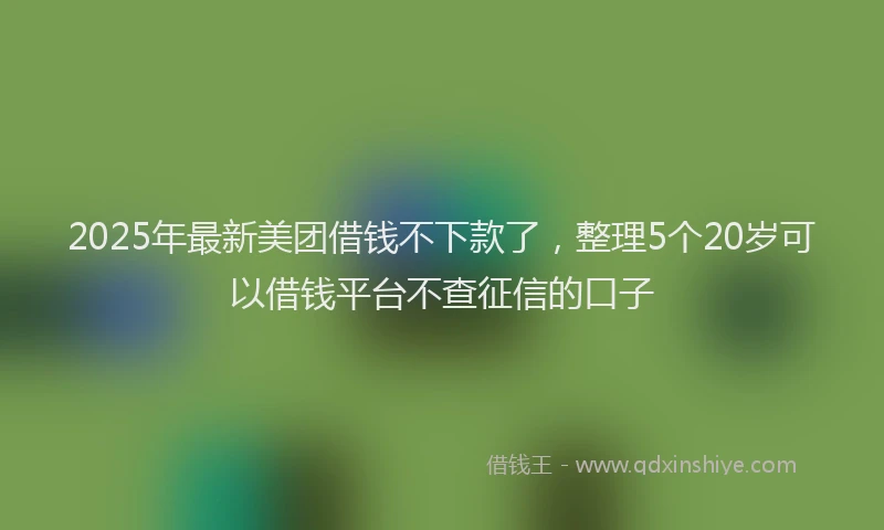 2025年最新美团借钱不下款了，整理5个20岁可以借钱平台不查征信的口子