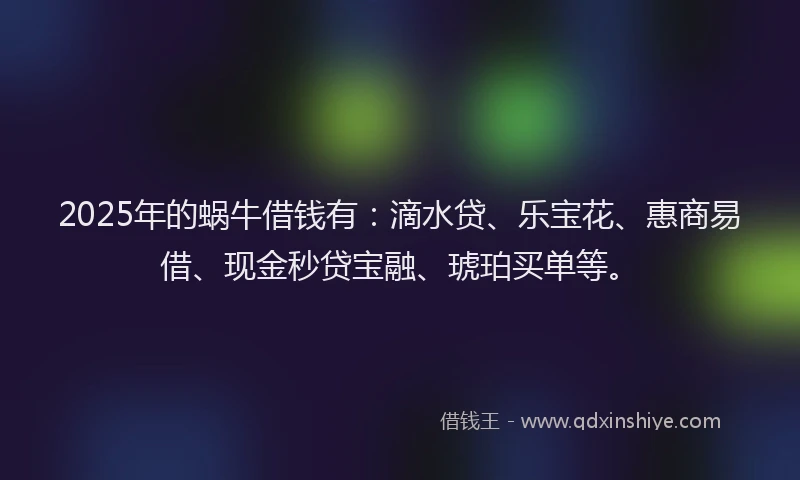 2025年的蜗牛借钱有：滴水贷、乐宝花、惠商易借、现金秒贷宝融、琥珀买单等。