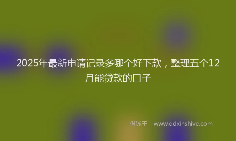 2025年最新申请记录多哪个好下款，整理五个12月能贷款的口子