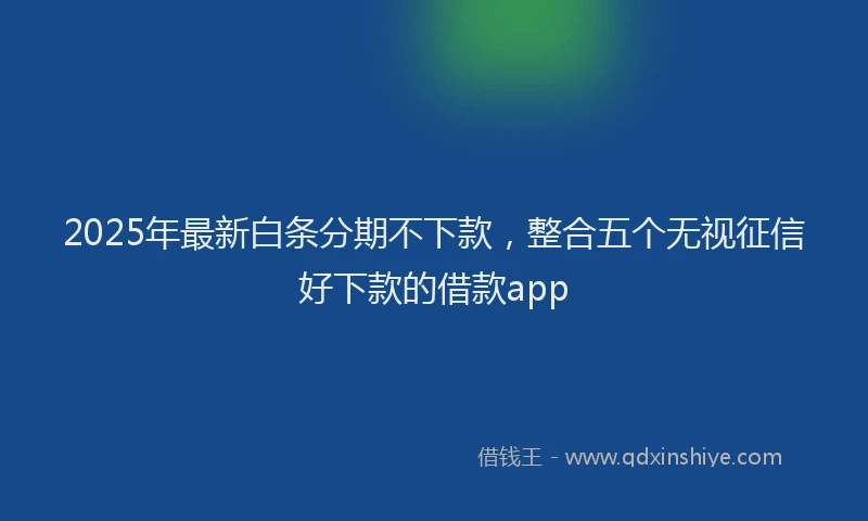 2025年最新白条分期不下款，整合五个无视征信好下款的借款app