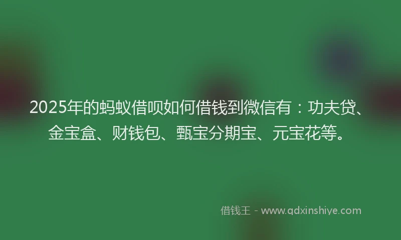 2025年的蚂蚁借呗如何借钱到微信有：功夫贷、金宝盒、财钱包、甄宝分期宝、元宝花等。