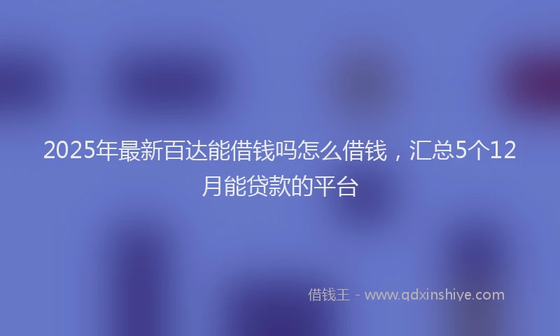 2025年最新百达能借钱吗怎么借钱，汇总5个12月能贷款的平台