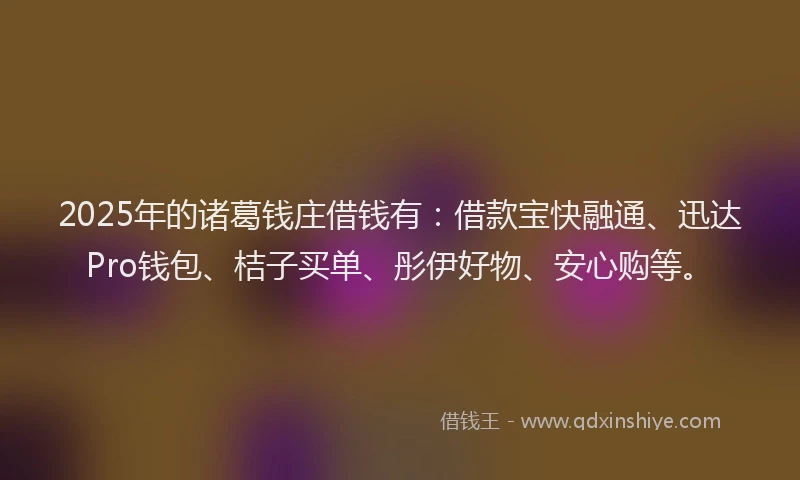 2025年的诸葛钱庄借钱有：借款宝快融通、迅达Pro钱包、桔子买单、彤伊好物、安心购等。