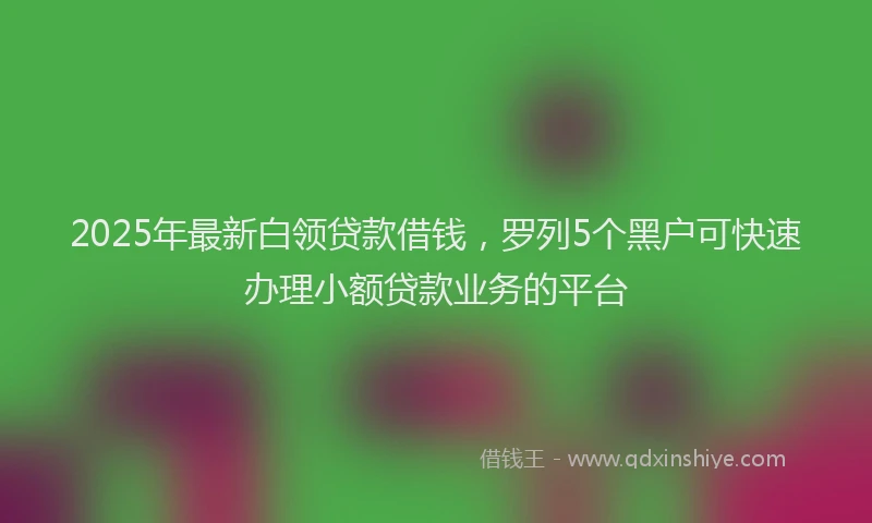 2025年最新白领贷款借钱，罗列5个黑户可快速办理小额贷款业务的平台