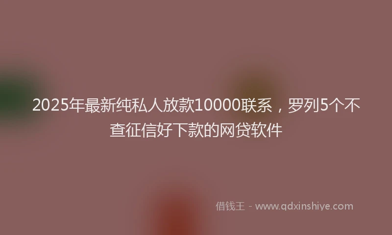 2025年最新纯私人放款10000联系，罗列5个不查征信好下款的网贷软件