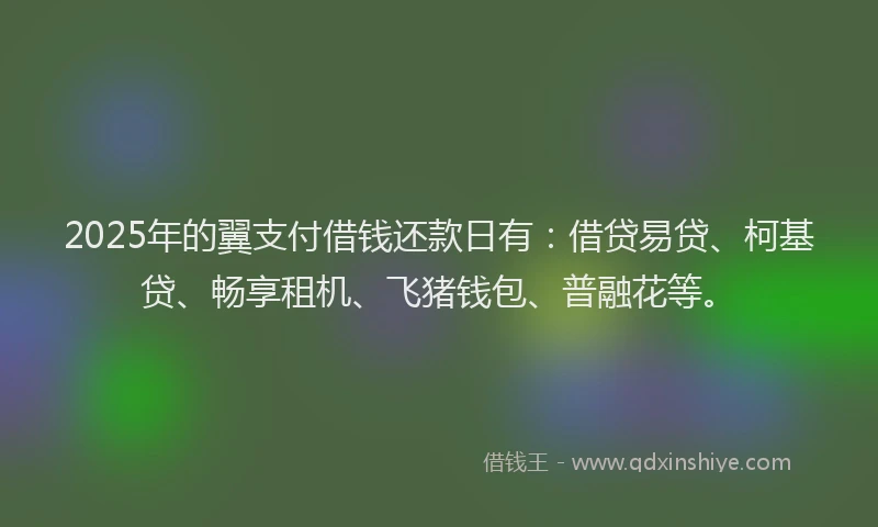 2025年的翼支付借钱还款日有：借贷易贷、柯基贷、畅享租机、飞猪钱包、普融花等。