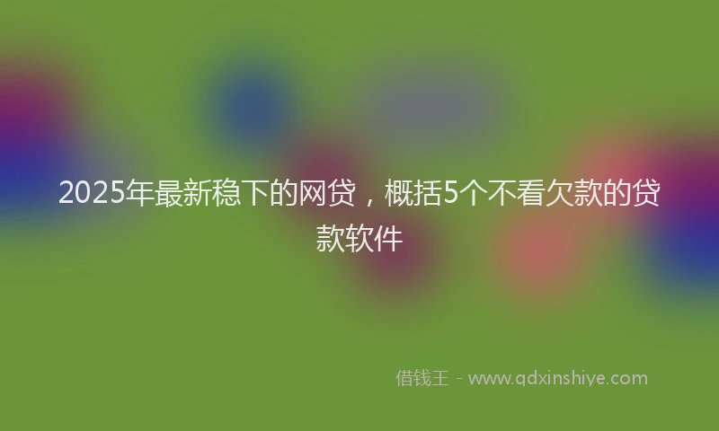 2025年最新稳下的网贷，概括5个不看欠款的贷款软件