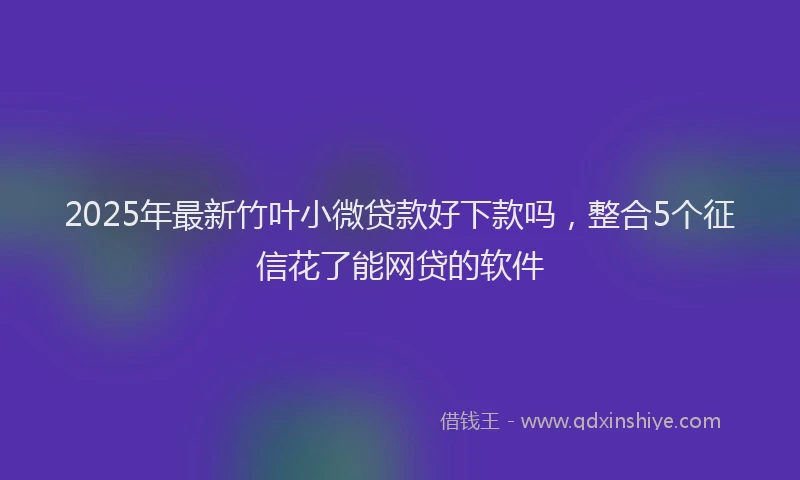 2025年最新竹叶小微贷款好下款吗，整合5个征信花了能网贷的软件