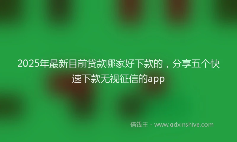 2025年最新目前贷款哪家好下款的，分享五个快速下款无视征信的app