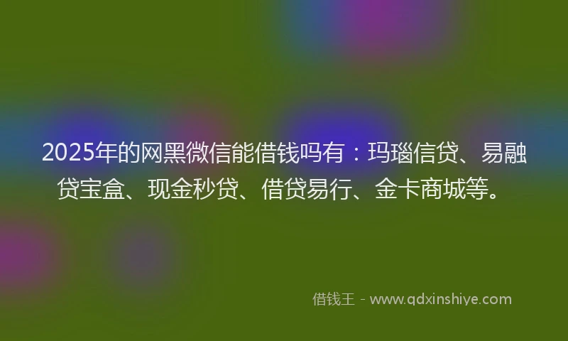 2025年的网黑微信能借钱吗有：玛瑙信贷、易融贷宝盒、现金秒贷、借贷易行、金卡商城等。