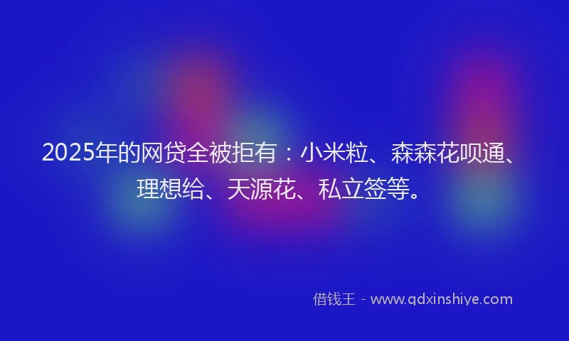 2025年的网贷全被拒有：小米粒、森森花呗通、理想给、天源花、私立签等。