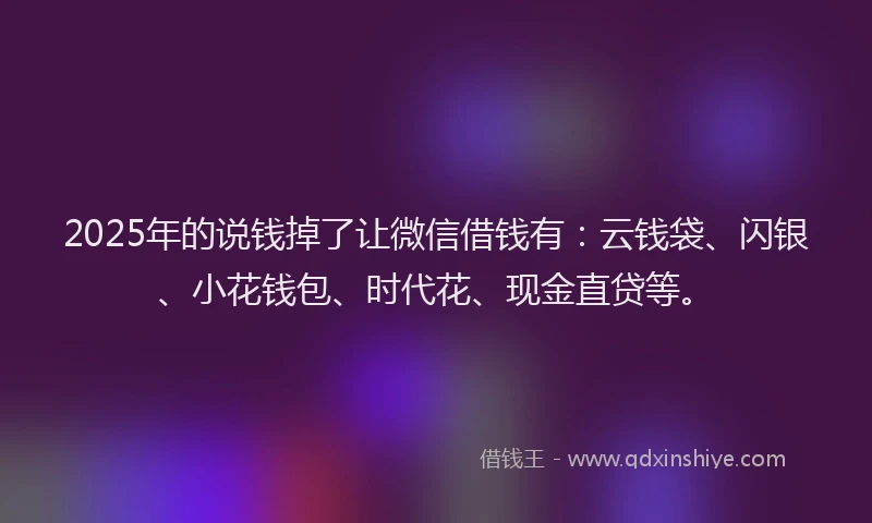 2025年的说钱掉了让微信借钱有：云钱袋、闪银、小花钱包、时代花、现金直贷等。