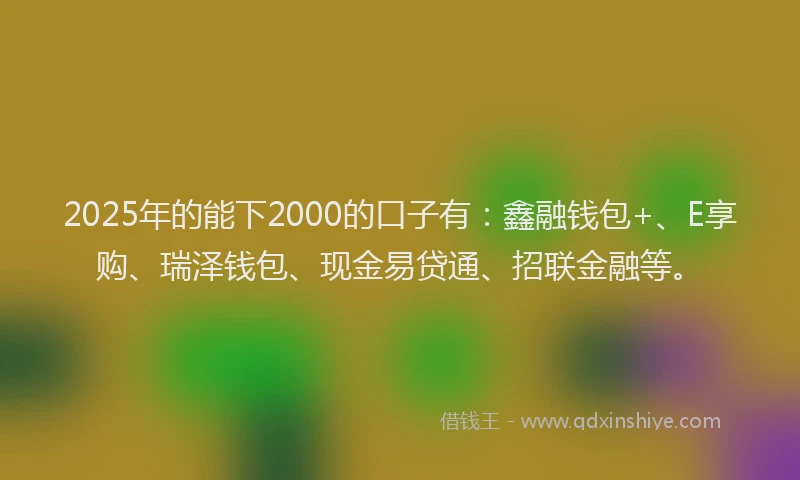 2025年的能下2000的口子有：鑫融钱包+、E享购、瑞泽钱包、现金易贷通、招联金融等。
