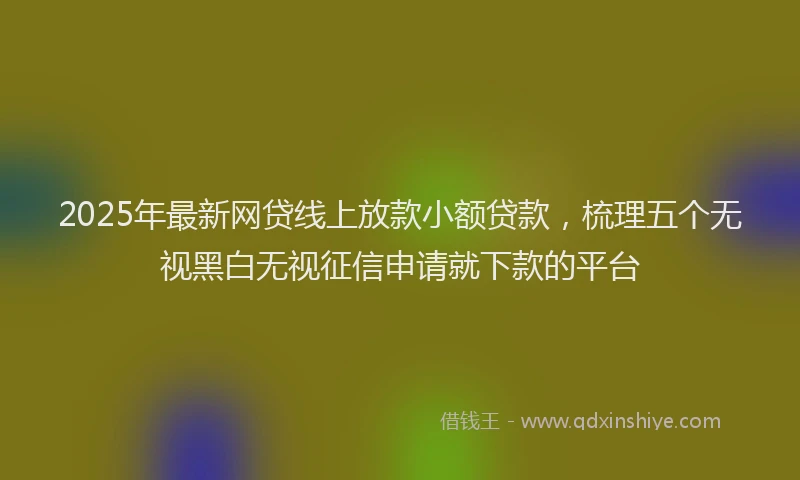 2025年最新网贷线上放款小额贷款，梳理五个无视黑白无视征信申请就下款的平台