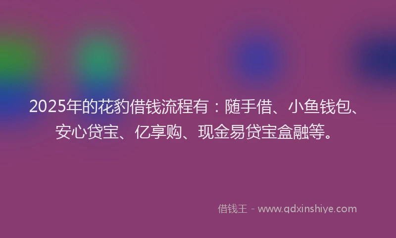 2025年的花豹借钱流程有：随手借、小鱼钱包、安心贷宝、亿享购、现金易贷宝盒融等。