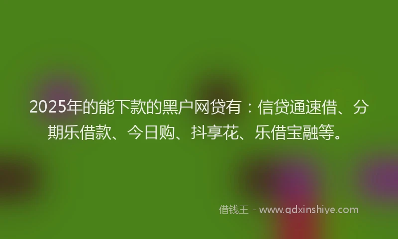 2025年的能下款的黑户网贷有：信贷通速借、分期乐借款、今日购、抖享花、乐借宝融等。