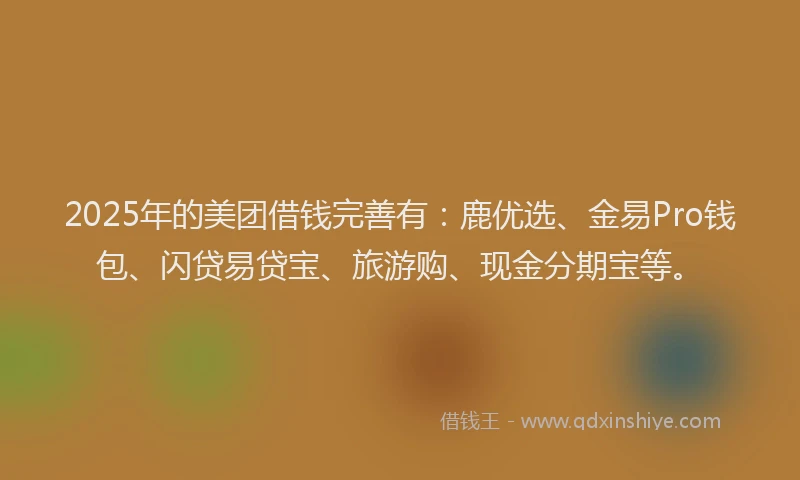 2025年的美团借钱完善有：鹿优选、金易Pro钱包、闪贷易贷宝、旅游购、现金分期宝等。