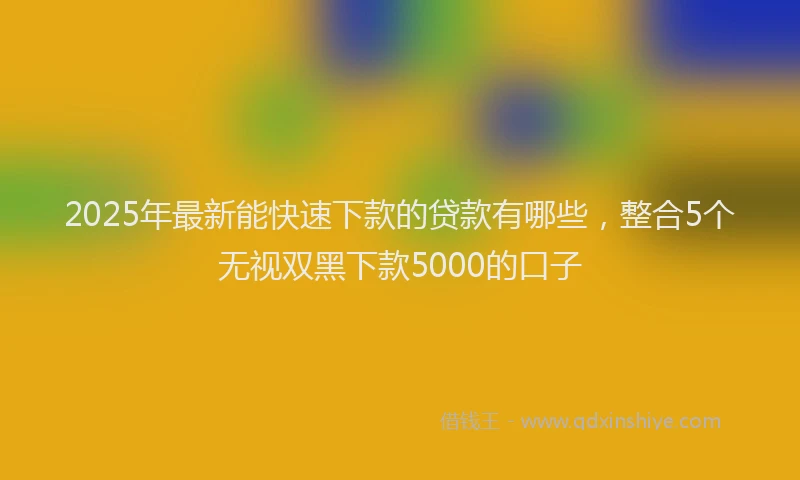 2025年最新能快速下款的贷款有哪些，整合5个无视双黑下款5000的口子