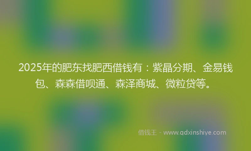 2025年的肥东找肥西借钱有：紫晶分期、金易钱包、森森借呗通、森泽商城、微粒贷等。