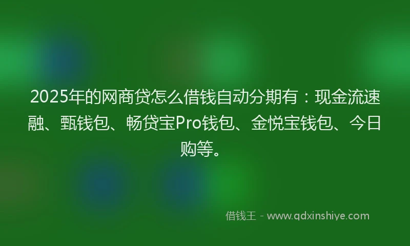 2025年的网商贷怎么借钱自动分期有：现金流速融、甄钱包、畅贷宝Pro钱包、金悦宝钱包、今日购等。