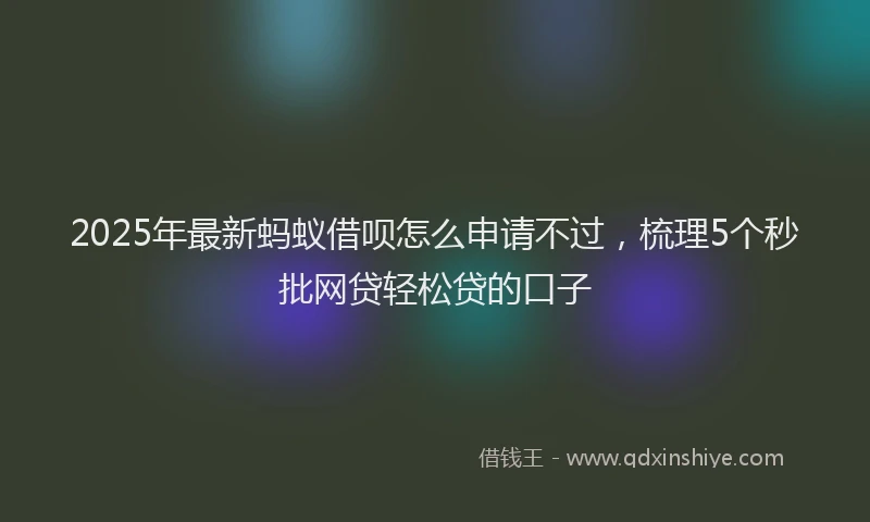 2025年最新蚂蚁借呗怎么申请不过，梳理5个秒批网贷轻松贷的口子