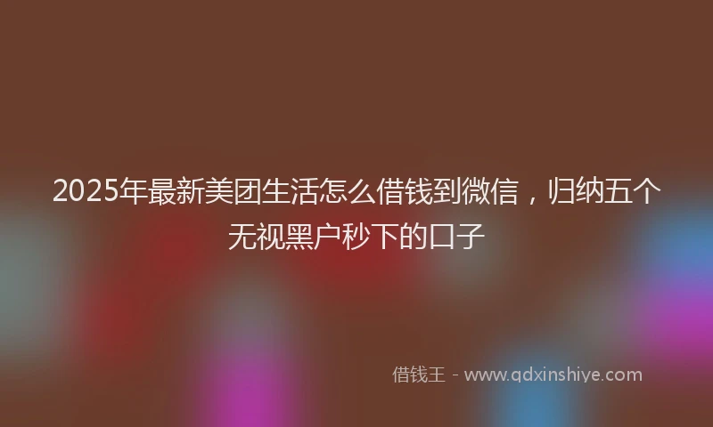 2025年最新美团生活怎么借钱到微信，归纳五个无视黑户秒下的口子