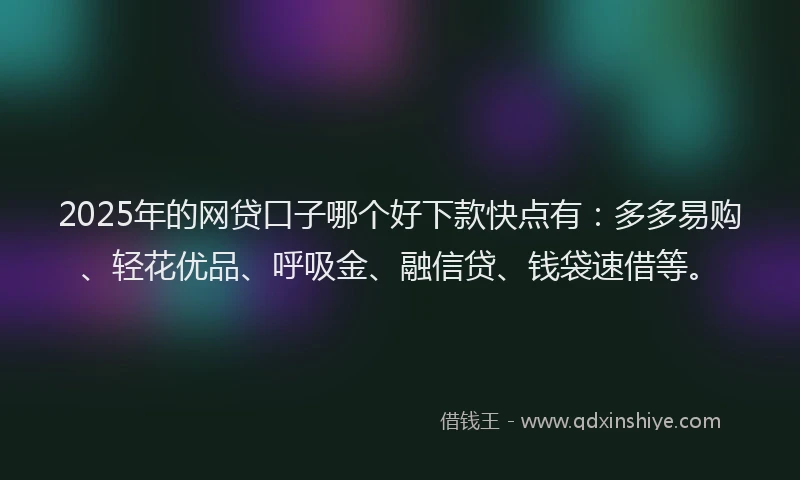 2025年的网贷口子哪个好下款快点有：多多易购、轻花优品、呼吸金、融信贷、钱袋速借等。